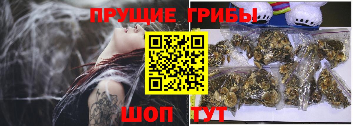 Галлюциногенные грибы Magic Shrooms  Псилоцибиновые грибы Psilocybine cubensis  Кашира  Вход с VPN 